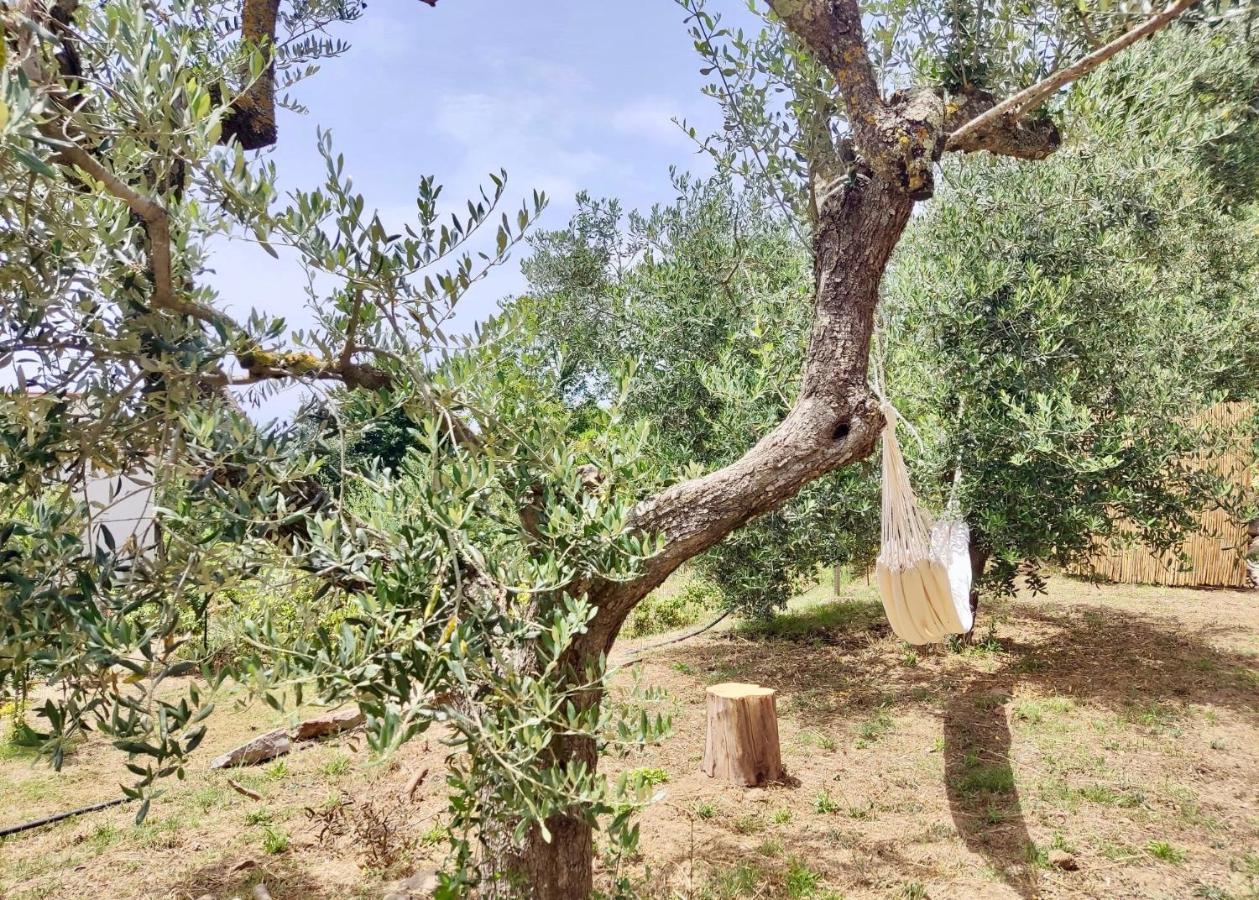 Nostos Casale Bed & Breakfast SantʼAgata sui Due Golfi Екстериор снимка