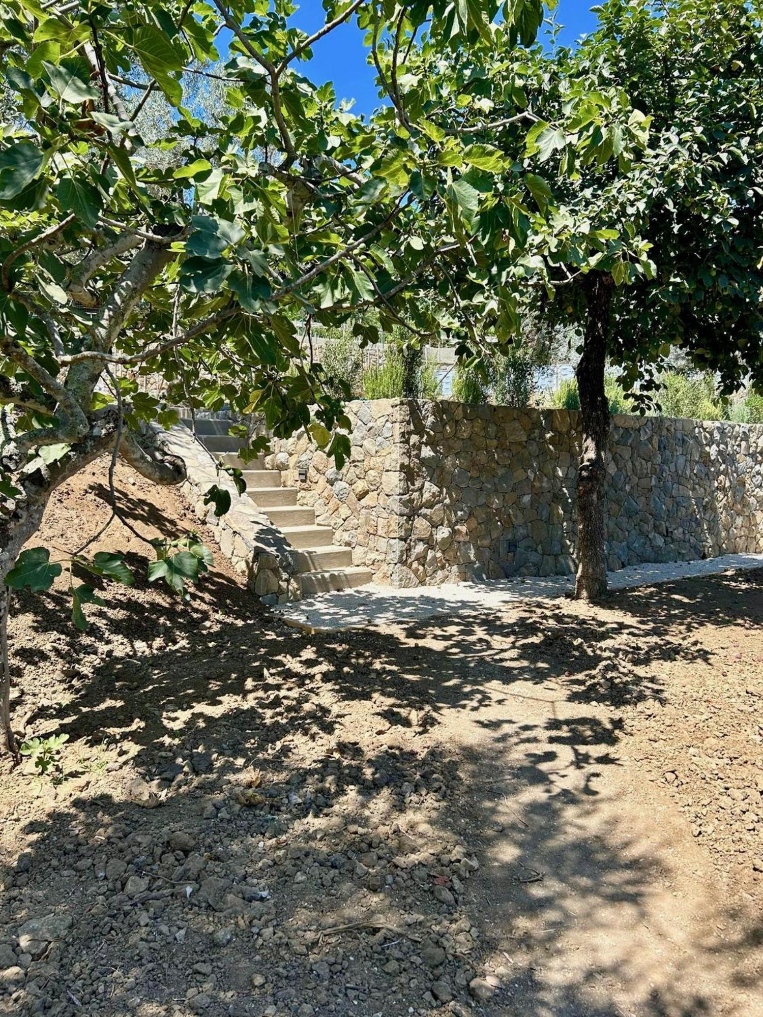 Nostos Casale Bed & Breakfast SantʼAgata sui Due Golfi Екстериор снимка